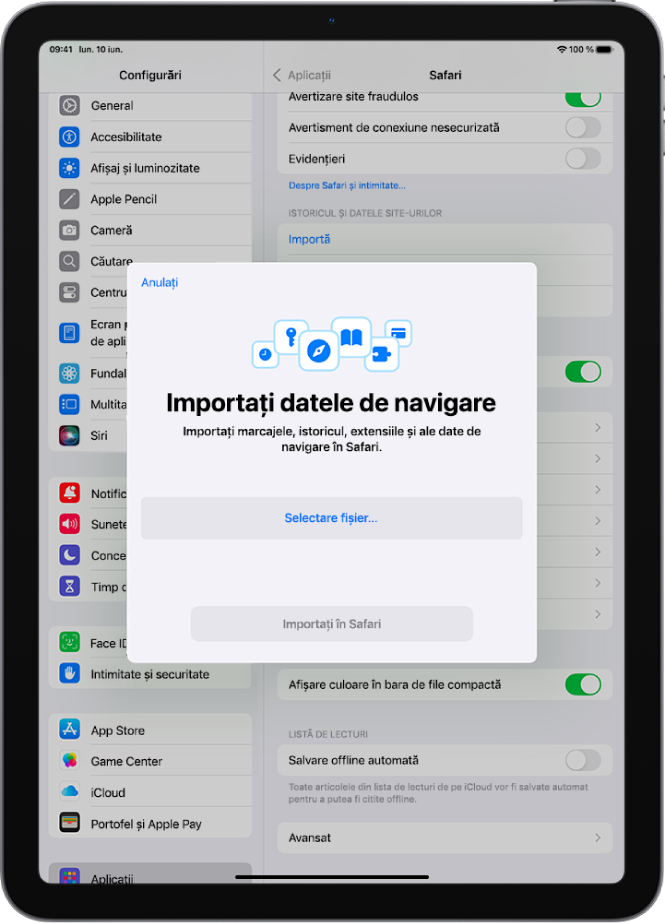 Ecranul Importați datele de navigare, afișând date din alt browser care urmează să fie importate în Safari.
