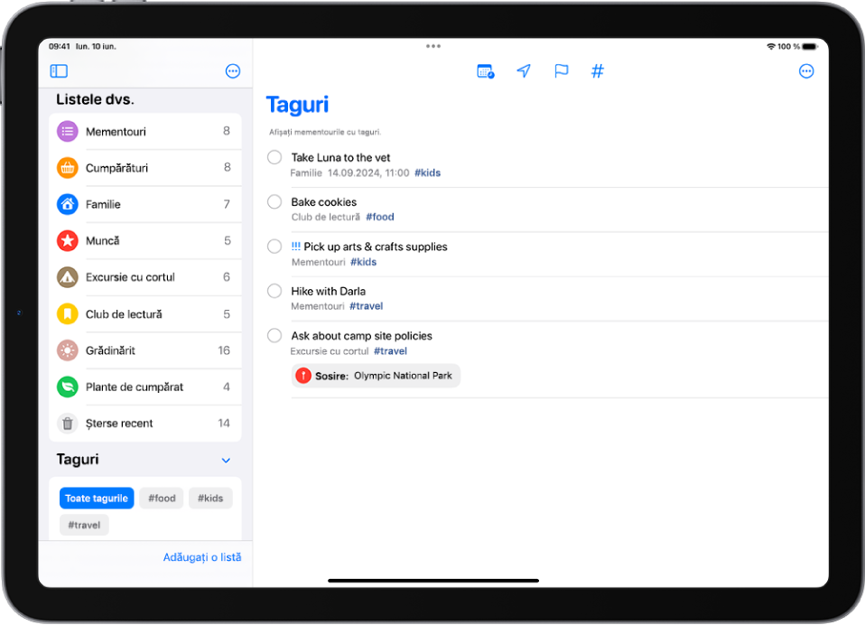 Aplicația Mementouri afișând mai multe liste și browserul de taguri în partea stângă. În dreapta este o listă cu toate articolele cu taguri.