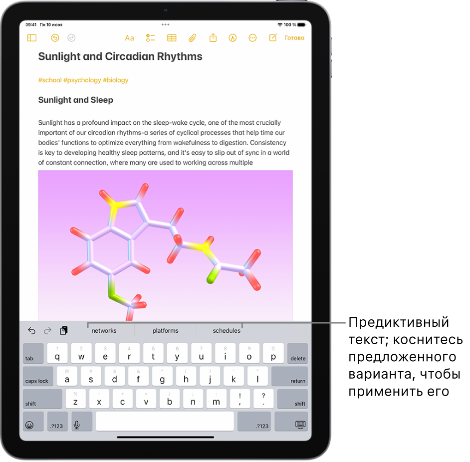 В приложении «Заметки» открыта экранная клавиатура. В текстовом поле введен текст, а над клавиатурой даны прогнозы для следующего слова.