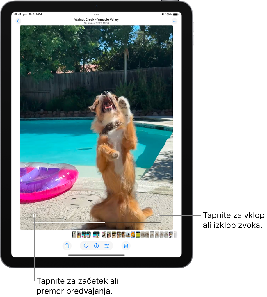 Video predvajalnik aplikacije Fotografije je na sredini zaslona in predvaja videoposnetek. Na dnu videoposnetka, od leve proti desni, so gumb Predvajaj/začasno ustavi, vrstica napredka in gumb Izklopi zvok/Glasnost.