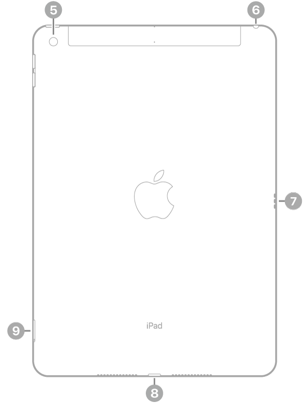 Pogled od zadaj na iPad z oblački za zadnjo kamero zgoraj levo, vtičnico za slušalke zgoraj desno, priključkom Smart Connector na desni, priključkom Lightning spodaj na sredini in pladnjem za kartico SIM (Wi-Fi in mobilni podatki) spodaj levo.