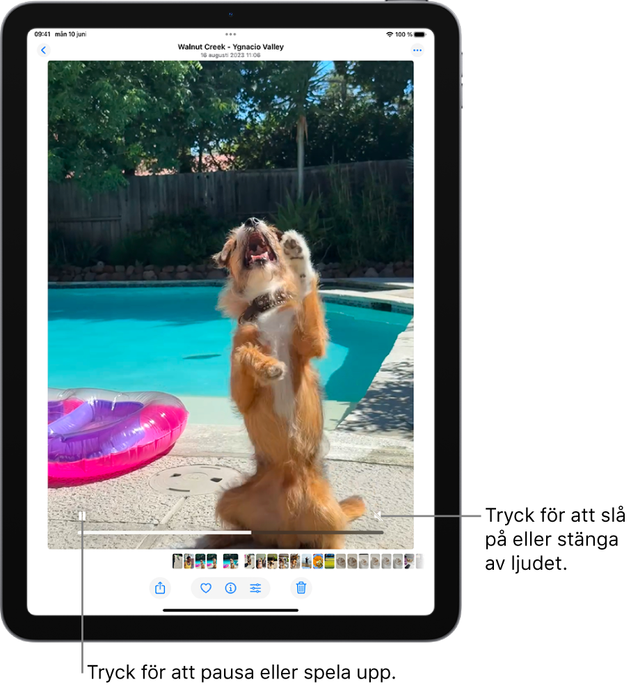 Videospelaren i appen Bilder visas i mitten av skärmen och en video spelas upp. Längst ned på videon, från vänster till höger, finns knappen för uppspelning/paus, ett förloppsfält och knappen för ljud av/volym.