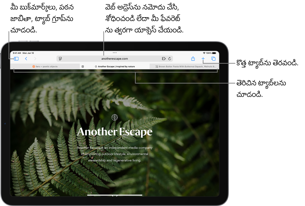 తెరిచి ఉన్న వెబ్పేజీ. ఎగువ నుండి, ఎడమ నుండి కుడికి సైడ్ బార్ బటన్, ప్రస్తుతం తెరిచిన ఉన్న ట్యాబ్ గ్రూప్ టైటిల్, మునుపటి, వెనుక బటన్లు, శోధన ఫీల్డ్, షేర్ బటన్, కొత్త ట్యాబ్ బటన్, ట్యాబ్ ఓవర్వ్యూ బటన్ ఉన్నాయి.