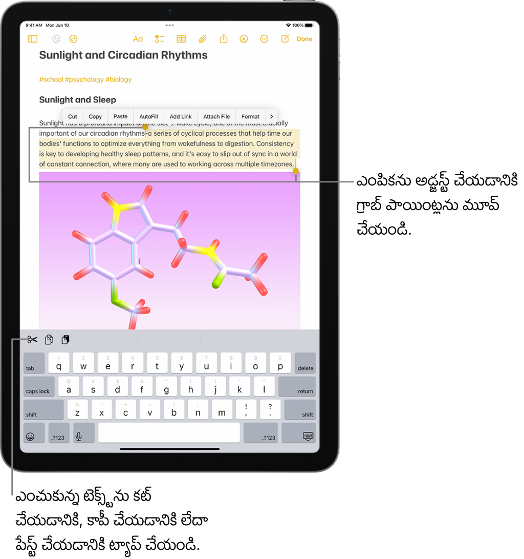 నోట్స్ యాప్‌లోని గమనిక‌లో టెక్స్ట్ ఎంచుకోబడింది. ఎంచుకున్న టెక్స్ట్ పైన కట్, కాపీ, పేస్ట్‌తో సహా బటన్‌ల మెన్యూ ఉంది. ఎంచుకున్న టెక్స్ట్ హైలైట్ చేయబడింది, దానికి రెండు వైపులా ఎంపికను అడ్జస్ట్ చేయడానికి గ్రాబ్ పాయింట్‌లు ఉన్నాయి.