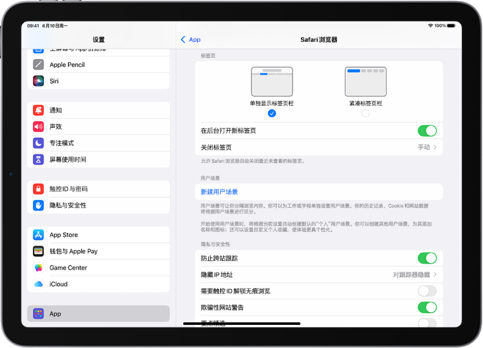 “设置” App 窗口，左侧边栏中选择了 App，右侧是 Safari 浏览器面板，其顶部显示使用标签页的选项。