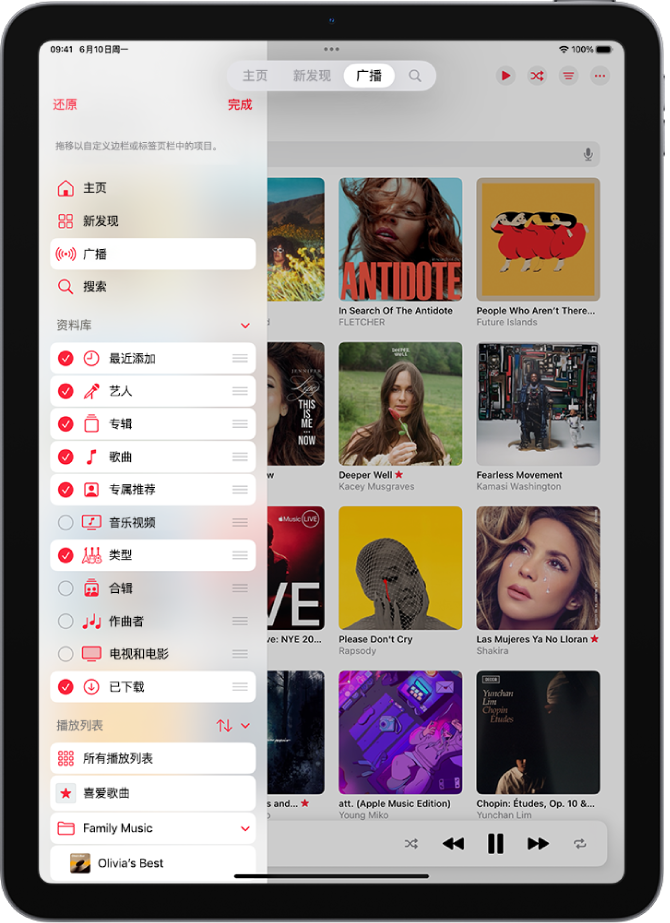竖排方向下的 iPad，显示用于编辑左侧边栏和屏幕顶部标签页栏的选项。