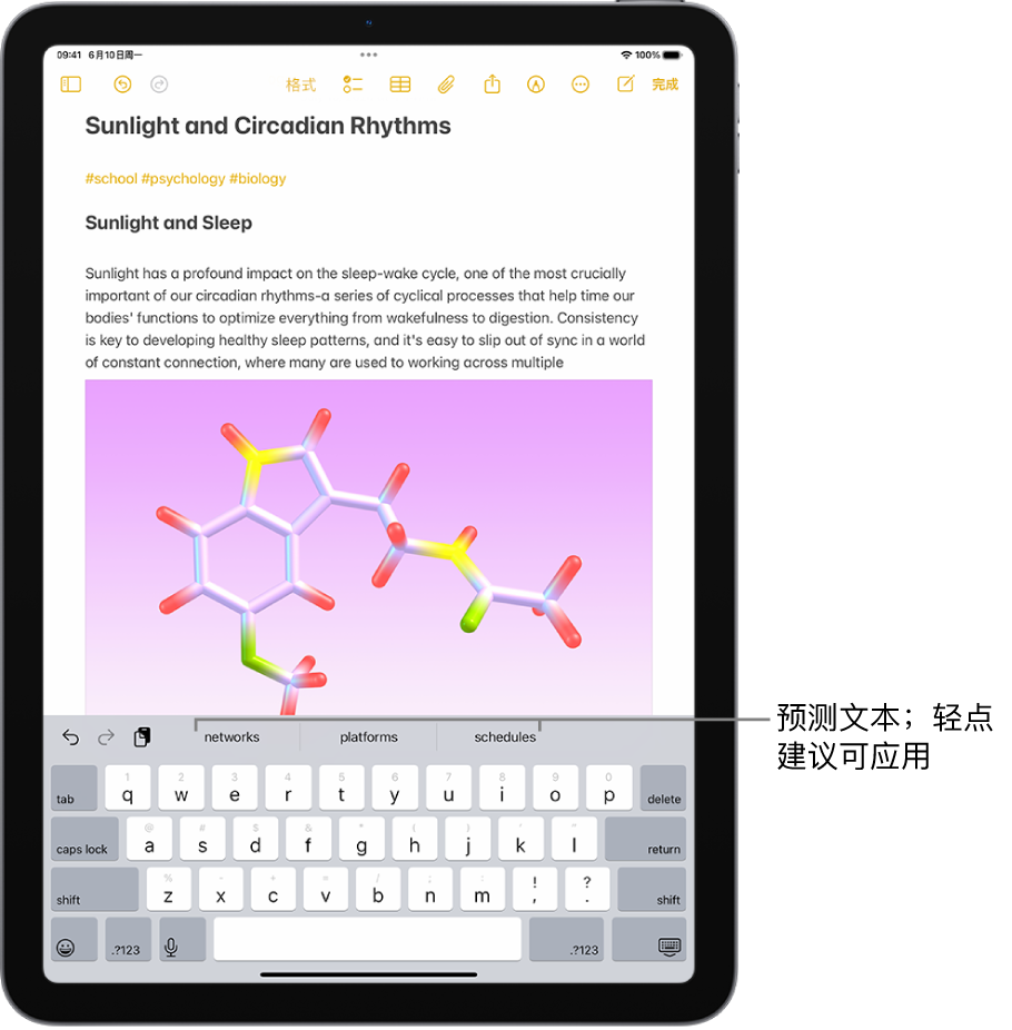 “备忘录” App 中打开的屏幕键盘。文本栏中输入了文本,键盘上方是下一个字词的预测文本建议。