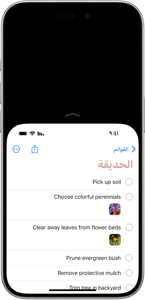 شاشة iPhone تم تنشيط تسهيل الوصول عليها. تم تحريك الجزء العلوي من الشاشة إلى أسفل بحيث يمكن الوصول إليه بإبهامك بسهولة.