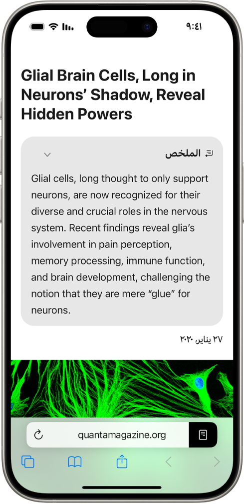 جهاز iPhone يعرض موقعًا إلكترونيًا في تطبيق الرسائل. ملخص الموقع الإلكتروني يظهر في أعلى الشاشة.