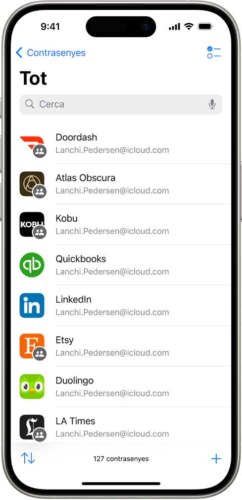 Una llista de tots els comptes amb contrasenya que estan desats a l’app Contrasenyes.