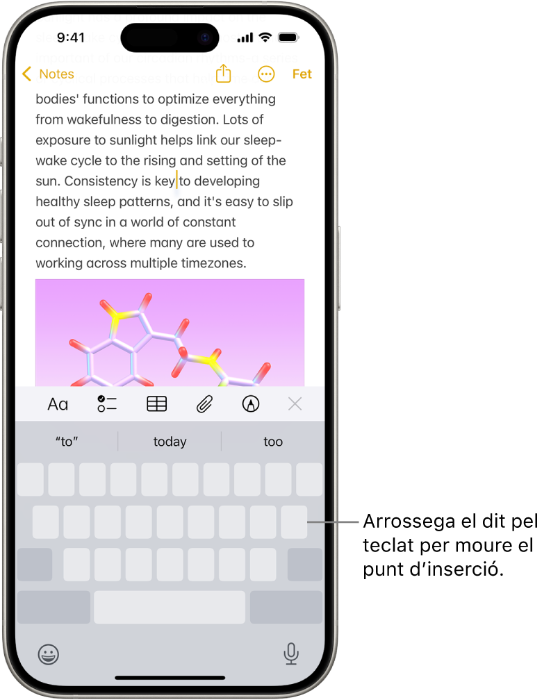 A l’app Notes hi ha un document obert. A la meitat inferior de la pantalla hi ha el teclat en mode de trackpad.