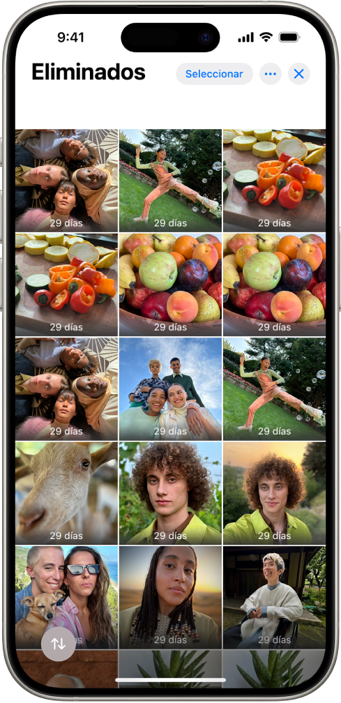 La carpeta Eliminado de la app Fotos. Las fotos eliminadas recientemente aparecen en una disposición de cuadrícula en la pantalla.