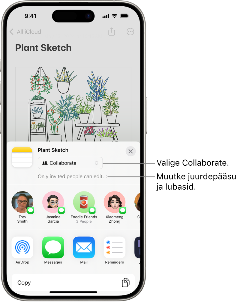 Koostöökutse rakenduse Notes joonistuse juurde, kus jagamisvalikuks on Collaborate ning juurdepääsu- ja loaseadeks “Only people you invite can edit”. Selle all on reas neli võimalikku vastuvõtjat, sh üks grupp. Alumisel real on kaks viisi märkme jagamiseks: AirDrop, Messages, Mail ja Freeform.