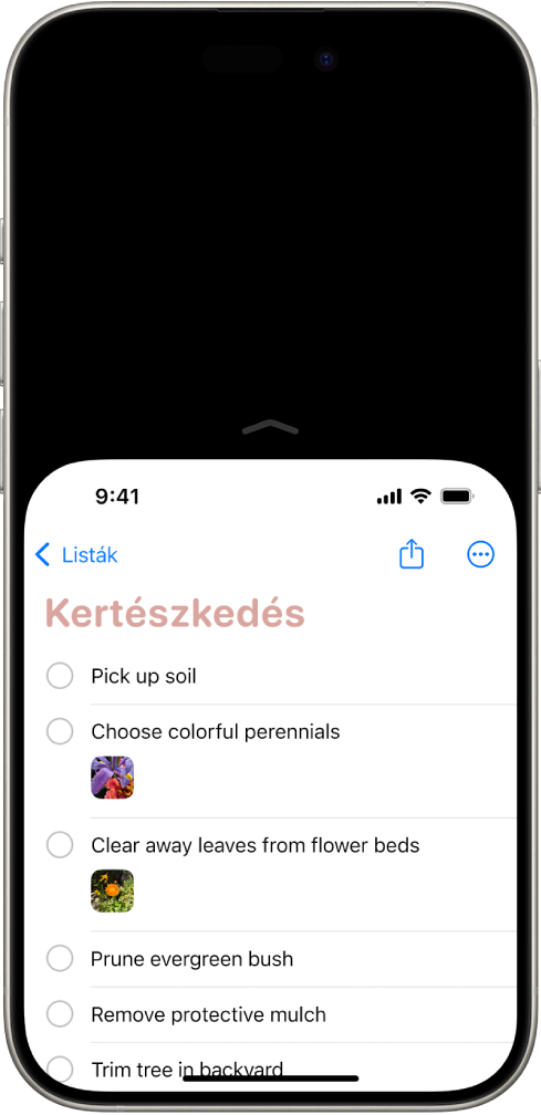 Az iPhone képernyője, amelyen az Elérhetőség funkció be van kapcsolva. A képernyő teteje lejjebb került, így a hüvelykujjal is könnyedén elérhető.