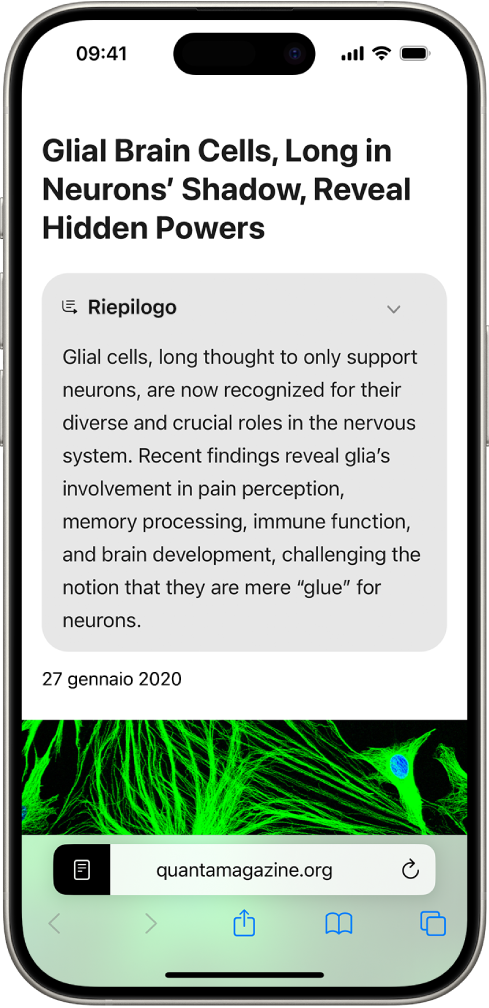 iPhone che mostra un sito web nell’app Safari. Il riassunto del sito web si trova nella parte superiore dello schermo.