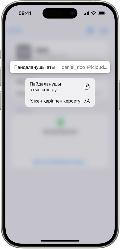 «Пайдаланушы атын көшіру» және «Үлкен қаріппен көрсету» опцияларымен бөлектелген пайдаланушы атын көрсетіп тұрған аккаунт экраны.