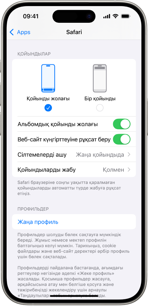Ек3 Safari орналасу опциясын көрсетіп тұрған экран: Қойынды жолағы және Бір қойынды.