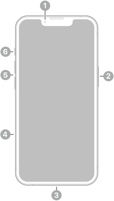iPhone 16e의 전면. 상단 중앙에 전면 카메라가 있음. 오른쪽에 측면 버튼이 있음. 하단에 USB-C 커넥터가 있음. 왼쪽에는 아래에서 위로 SIM 트레이, 음량 버튼 및 동작 버튼이 있음.