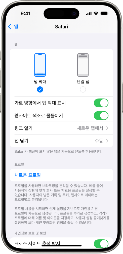 두 가지 Safari 레이아웃 옵션 탭 막대 및 단일 탭을 표시한 화면.