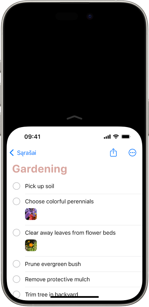 „iPhone“ ekranas, kuriame suaktyvinta funkcija „Pasiekiamumas“. Viršutinė ekrano dalis nuleista žemiau, kad ją būtų galima lengvai pasiekti nykščiu.