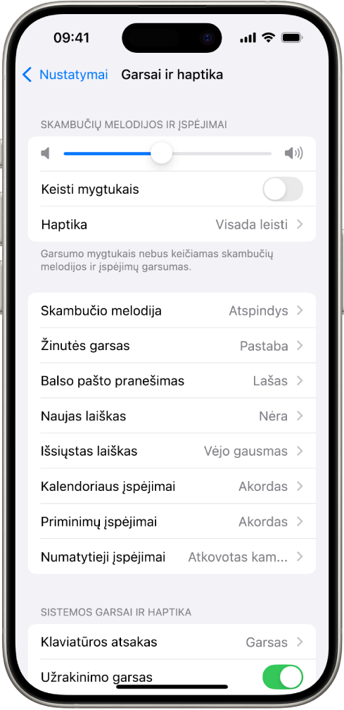„Nustatymai“ ekranas „Garsai ir haptika“. Esančios parinktys iš viršaus į apačią: „Ausinių garsas“ ir „Ausinių sauga“, „Skambučių melodijų ir įspėjimų garsumas“ su garsumo reguliavimo slankikliu ir parinktimi, skirta keisti garsumą naudojant mygtukus, bei „Garsų ir haptikos parinktys“, įskaitant „Skambučio melodija“ ir „Žinutės garsas“.