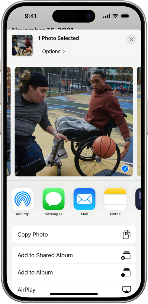 खाली शेअर पर्यायांच्या रोसह, सिलेक्ट केलेले छायाचित्र iPhone स्क्रीनच्या वरच्या अर्ध्या भागात डिस्प्ले केले जाते. ‘छायाचित्र कॉपी करा’, ‘शेअर केलेल्या अल्बममध्ये समाविष्ट करा’, ‘अल्बममध्ये समाविष्ट करा’ आणि AirPlay ह्यासह अतिरिक्त पर्याय खाली दिसतात.