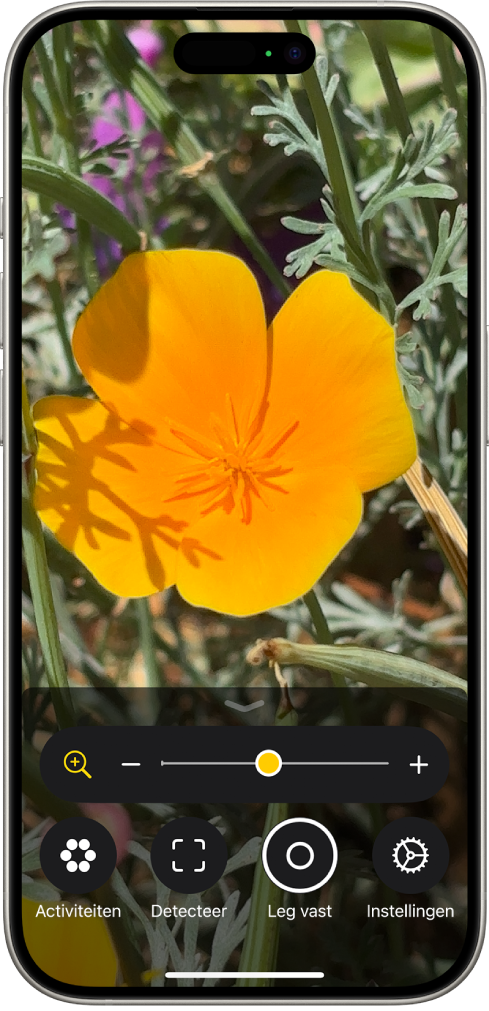 De Vergrootglas-app met een close-up van een bloem.