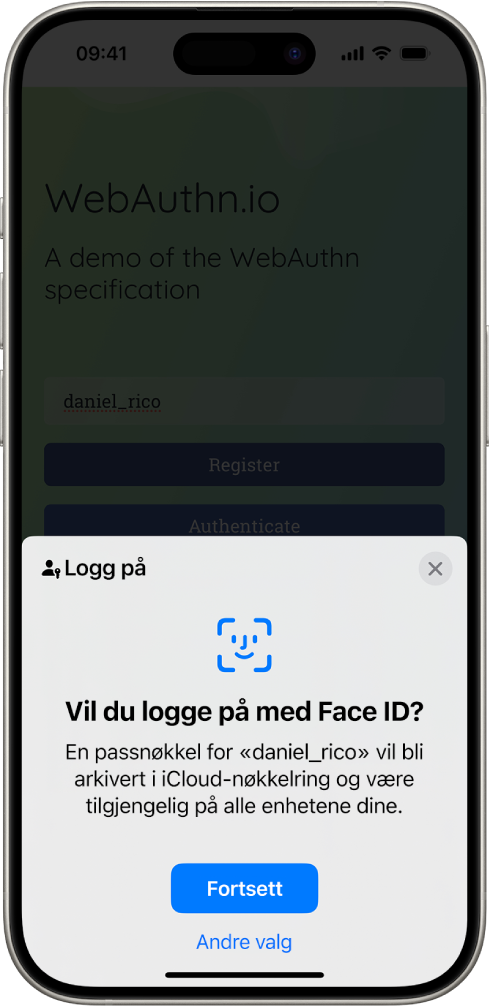 En påloggingsskjerm som vises når en passnøkkel arkiveres for kontoen. Fortsett- og Andre valg-knappene vises nederst på skjermen.