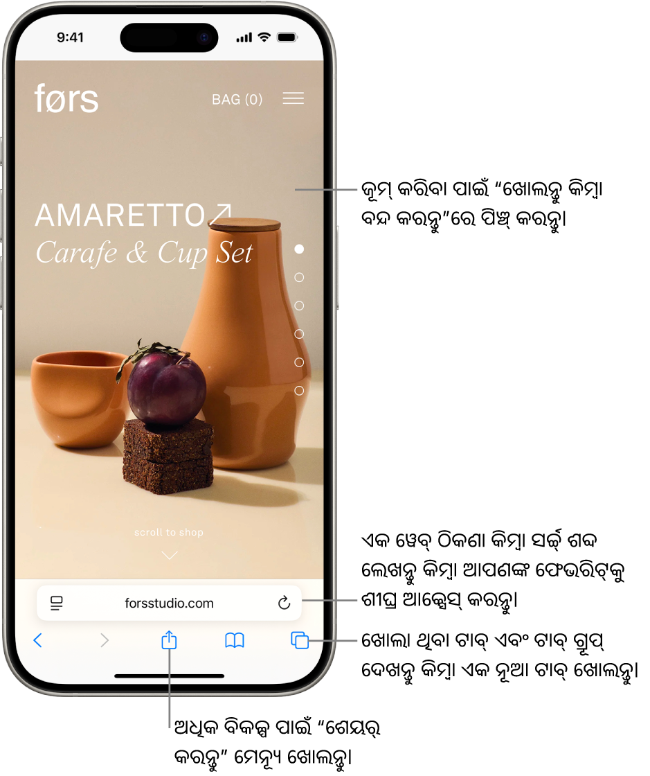 Safariରେ ଖୋଲାଥିବା ଏକ ୱେବ୍‌ସାଇଟ୍, ଯେଉଁଥିରେ ନିମ୍ନରେ ଏକ ଠିକଣା ଫିଲ୍ଡ୍‌ ଅଛି। ନିମ୍ନରେ, ବାମରୁ ଡାହାଣକୁ, ପଛକୁ, ଆଗକୁ, ଶେୟର୍‌ କରନ୍ତୁ, ବୁକ୍‌ମାର୍କ୍‌ ଏବଂ ଟାବ୍ ବଟନ୍ ଅଛି।