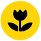 ଅଟୋ ମାକ୍ରୋ ଅନ୍ ବଟନ୍‌