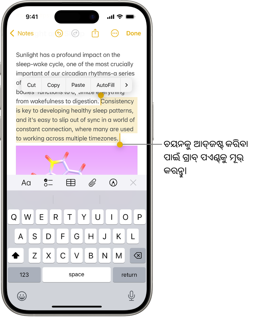 ନୋଟ୍ ଆପ୍ରେ ଥିବା ଏକ ନୋଟ୍ରେ ଟେକ୍ସ୍ଟ୍ ଚୟନିତ ହୋଇଛି। ଚୟନିତ ଟେକ୍ସ୍ଟ୍ ଉପରେ କଟ୍, କପି, ପେଷ୍ଟ୍ ଏବଂ ଅଟୋଫିଲ୍ ବଟନ୍ ଅଛି। ଉଭୟ ପାର୍ଶ୍ୱରେ ସିଲେକ୍ସନ୍ ଆଡ୍ଜଷ୍ଟ୍ କରିବା ପାଇଁ ଗ୍ରାବ୍ ପଏଣ୍ଟ୍ ସହିତ ଚୟନିତ ଟେକ୍ସଟ୍ ହାଇଲାଇଟ୍ ହୋଇଛି।