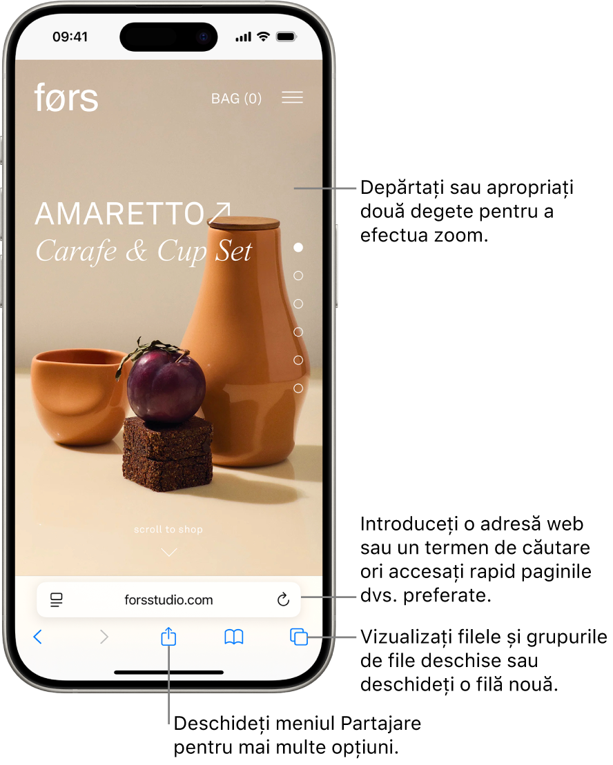 Un site web deschis în Safari, cu câmpul de adresă în partea de jos. În partea de jos, de la stânga la dreapta, se află butoanele Înapoi, Înainte, Partajați, Marcaje și File.