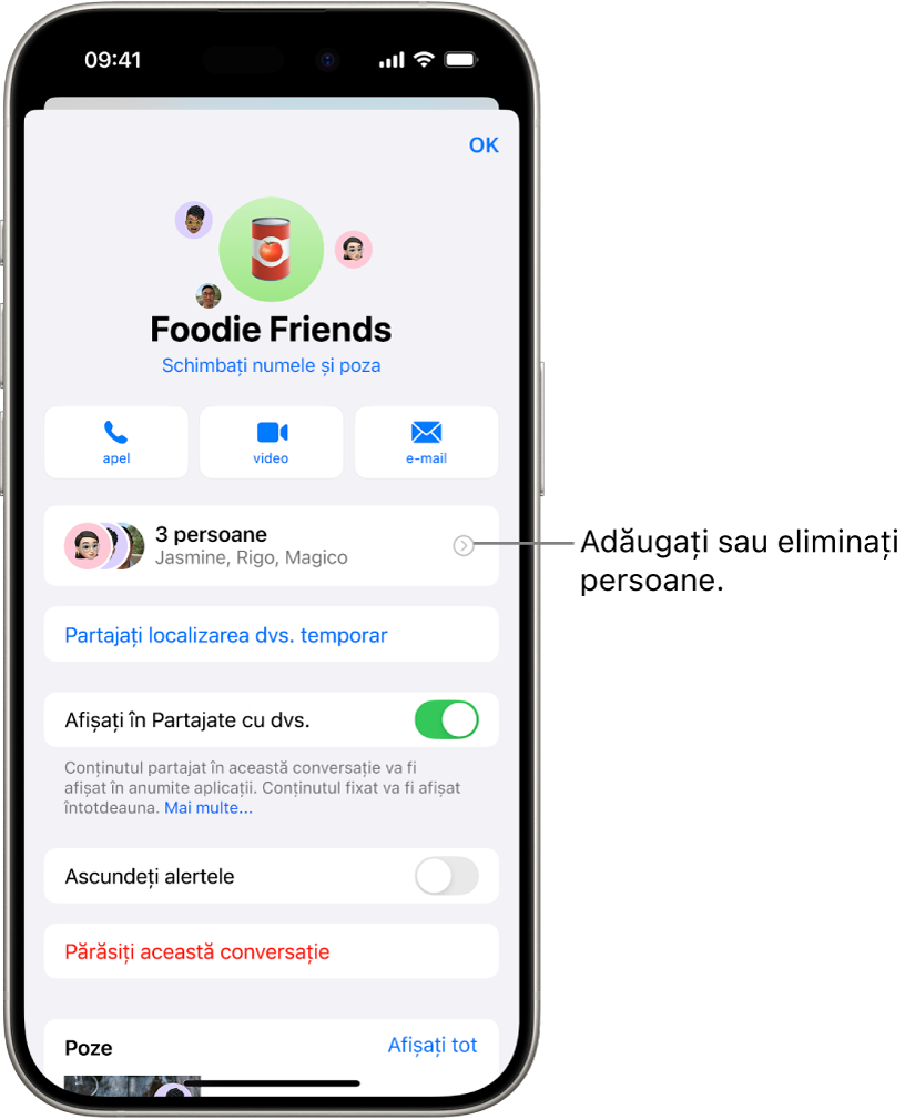 Detaliile conversației pentru un grup.