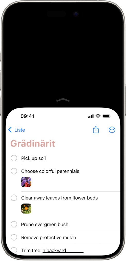 Ecranul iPhone-ului cu opțiunea Accesare ușoară activată. Partea de sus a ecranului a fost mutată jos pentru a putea fi apăsată ușor cu degetul mare.