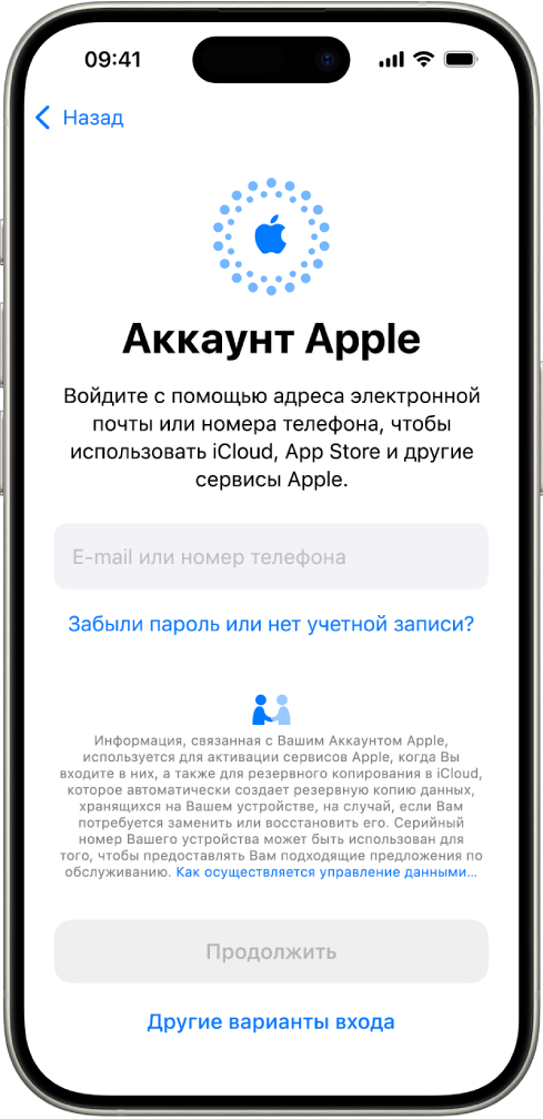 Экран входа в Аккаунт Apple