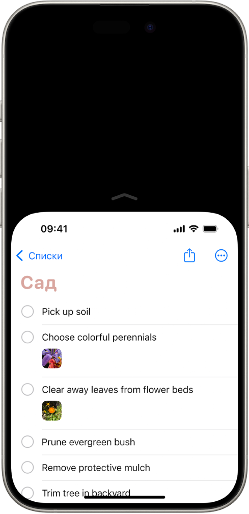 Экран iPhone с активированной функцией «Удобный доступ». Верхняя часть экрана перемещена вниз, поэтому ее легко редактировать большим пальцем.
