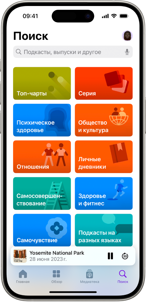 На экране поиска в приложении «Подкасты» показаны категории подкастов. Ниже отображается обложка выпуска, название выпуска и кнопки «Пауза» и «Перейти вперед». В нижней части экрана расположены кнопки «Главная», «Просмотреть», «Медиатека» и «Поиск».