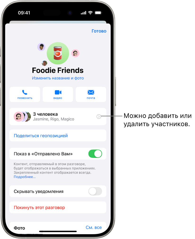 Сведения о групповом разговоре.