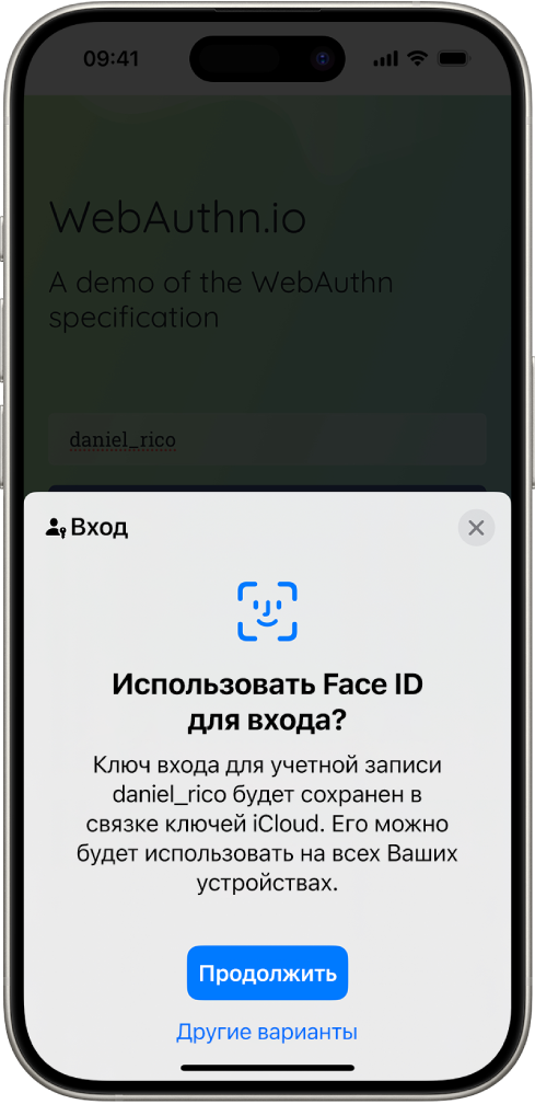 Экран входа, который отображается при сохранении ключа входа для учетной записи. В нижней части экрана расположены кнопки «Продолжить» и «Другие варианты».