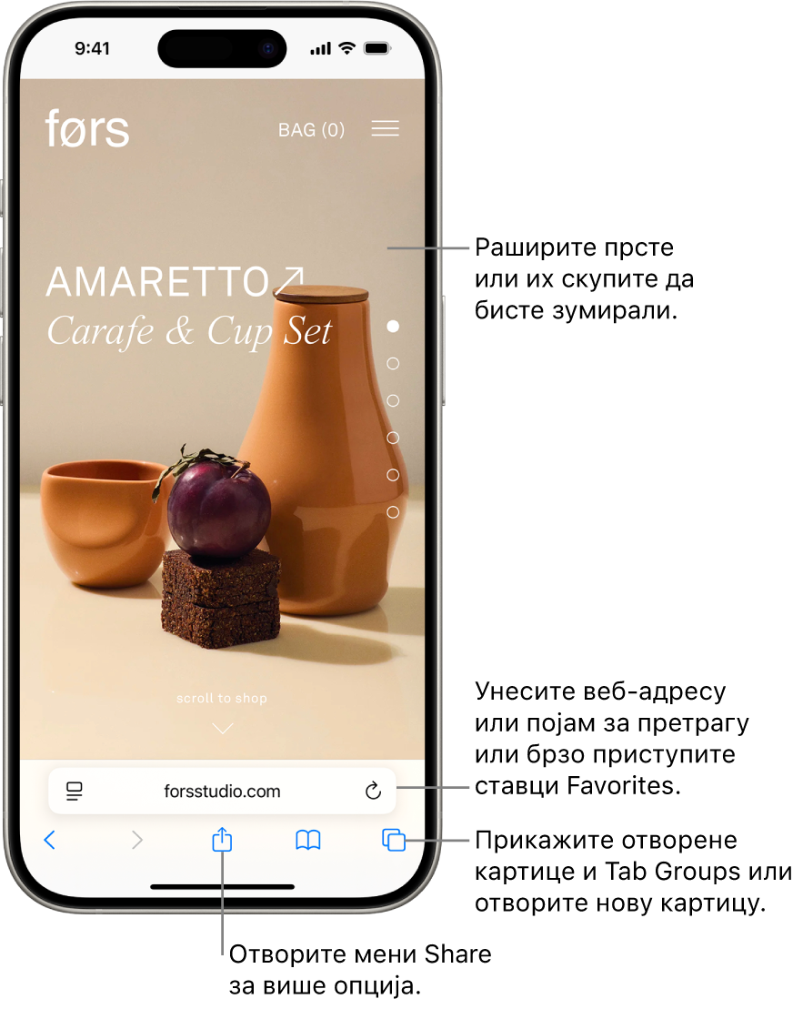 Веб-локација отворена у прегледачу Safari, при чијем се дну налази поље за адресу. При дну, слева надесно, налазе се дугмад Back, Forward, Share, Bookmarks и Tabs.