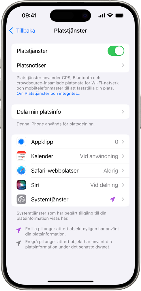 Skärmen för Platstjänster med inställningar för att dela platsen för din iPhone med appar.