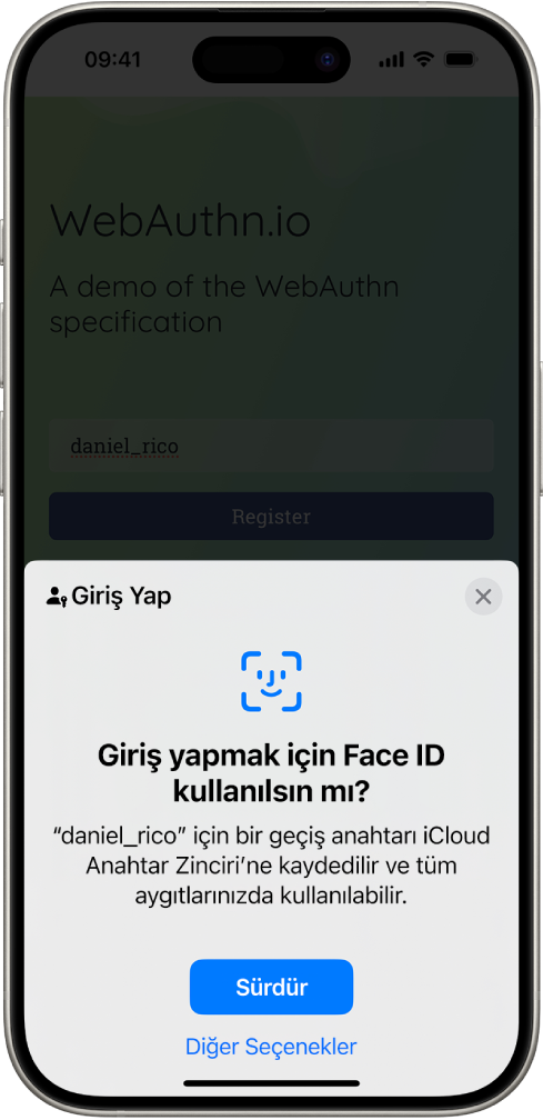 Hesap için bir geçiş anahtarı kaydedildiğinde görünen bir giriş yapma ekranı. Sürdür ve Diğer Seçenekler düğmeleri ekranın en altında.