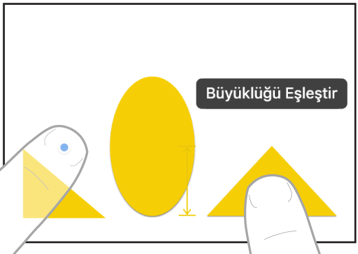 Freeform’da iki öğeyi seçip büyüklüklerini eşleştiren iki elin iki parmağı.