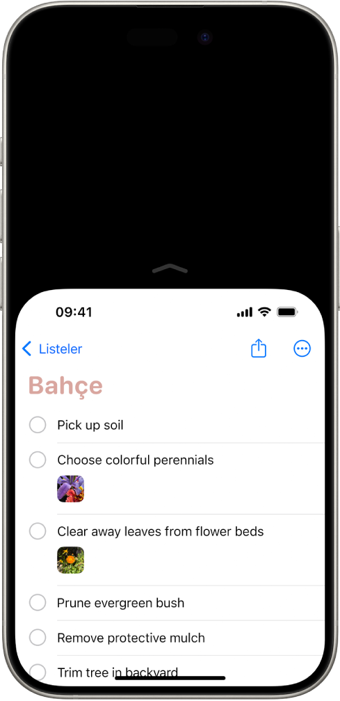 Ulaşılabilirlik’in etkinleştirildiği iPhone ekranı. Ekranın üst tarafı aşağıya taşınmış, böylece başparmağınızla kolayca ulaşabiliyorsunuz.