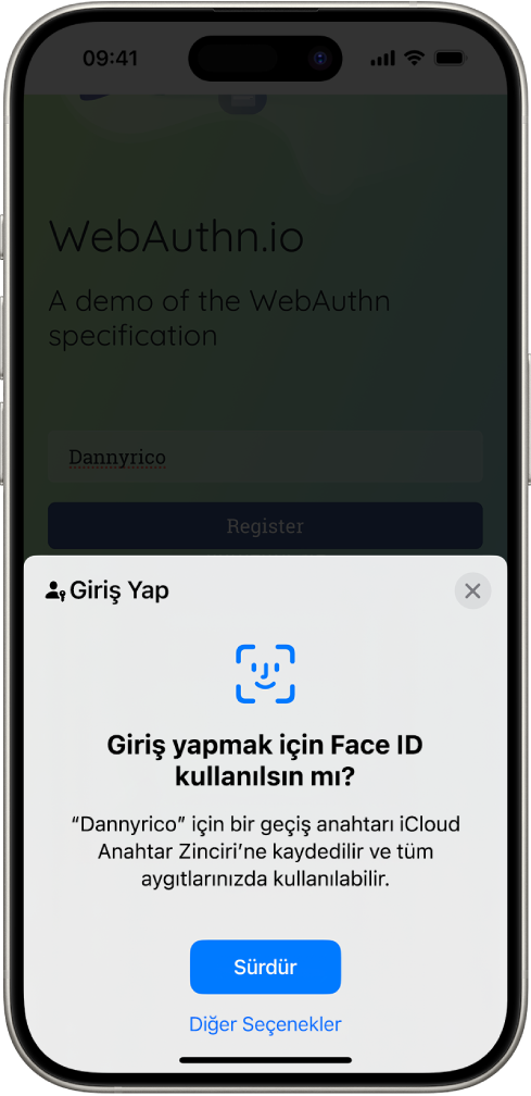 iPhone ekranının alt yarısı, bir web sitesine giriş yapmak için geçiş anahtarlarını kullanma seçeneğini sunuyor. Geçiş anahtarını kaydetmek için bir Sürdür düğmesi ve Diğer Seçenekler düğmesi var.