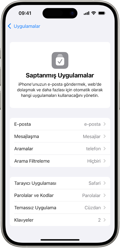 E-posta gönderme, web’de dolaşma ve daha fazlasına yönelik saptanmış uygulamalarınızı değiştirme ekranı.