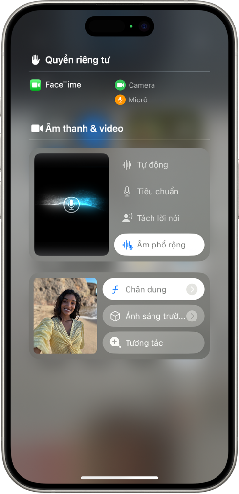 Cài đặt Hiệu ứng video trong Trung tâm điều khiển trong cuộc gọi FaceTime. Chế độ Chân dung được bật và hình ảnh của người gọi xuất hiện trong một ô được mở rộng với hiệu ứng Chân dung của một nền được làm mờ và chủ thể nổi bật.