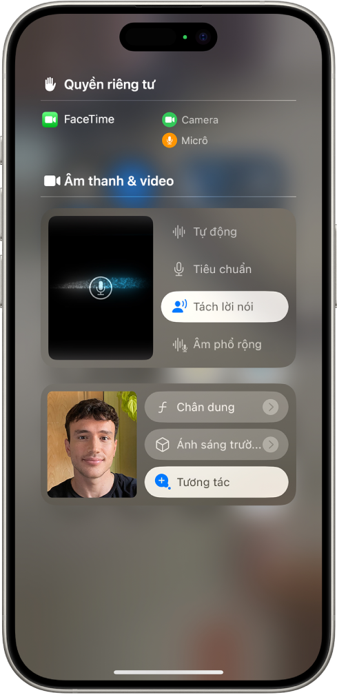 Cài đặt Trung tâm điều khiển cho cuộc gọi FaceTime, đang hiển thị cài đặt âm thanh Tự động, Tiêu chuẩn, Tách lời nói và Âm phổ rộng.