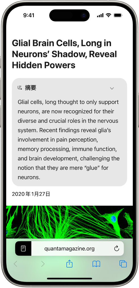 iPhone 顯示 Safari App 中的網站。螢幕最上方顯示網站的摘要。