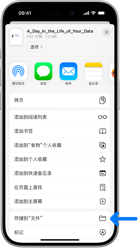 在 Safari 浏览器中，PDF 上的“共享”按钮被轻点后显示一系列选项，包括屏幕底部附近的“存储到‘文件’”。